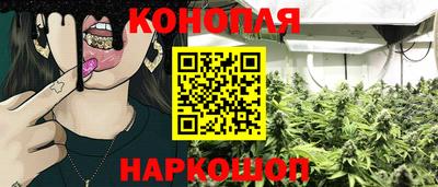 Альфа ПВП Тулун