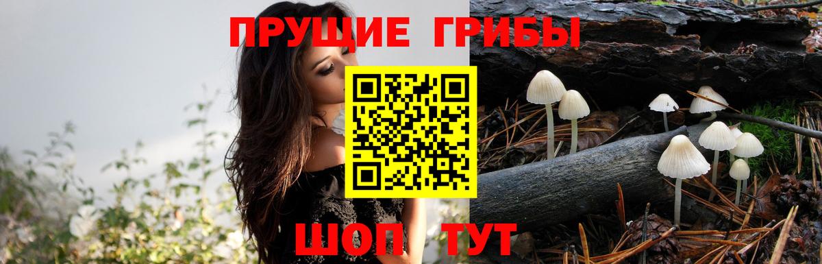 Псилоцибиновые грибы MAGIC MUSHROOMS Мурманск