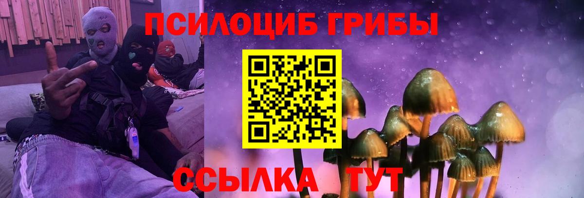 Галлюциногенные грибы Psilocybe  Вход с VPN  Мурманск  Псилоцибиновые грибы ЛСД 